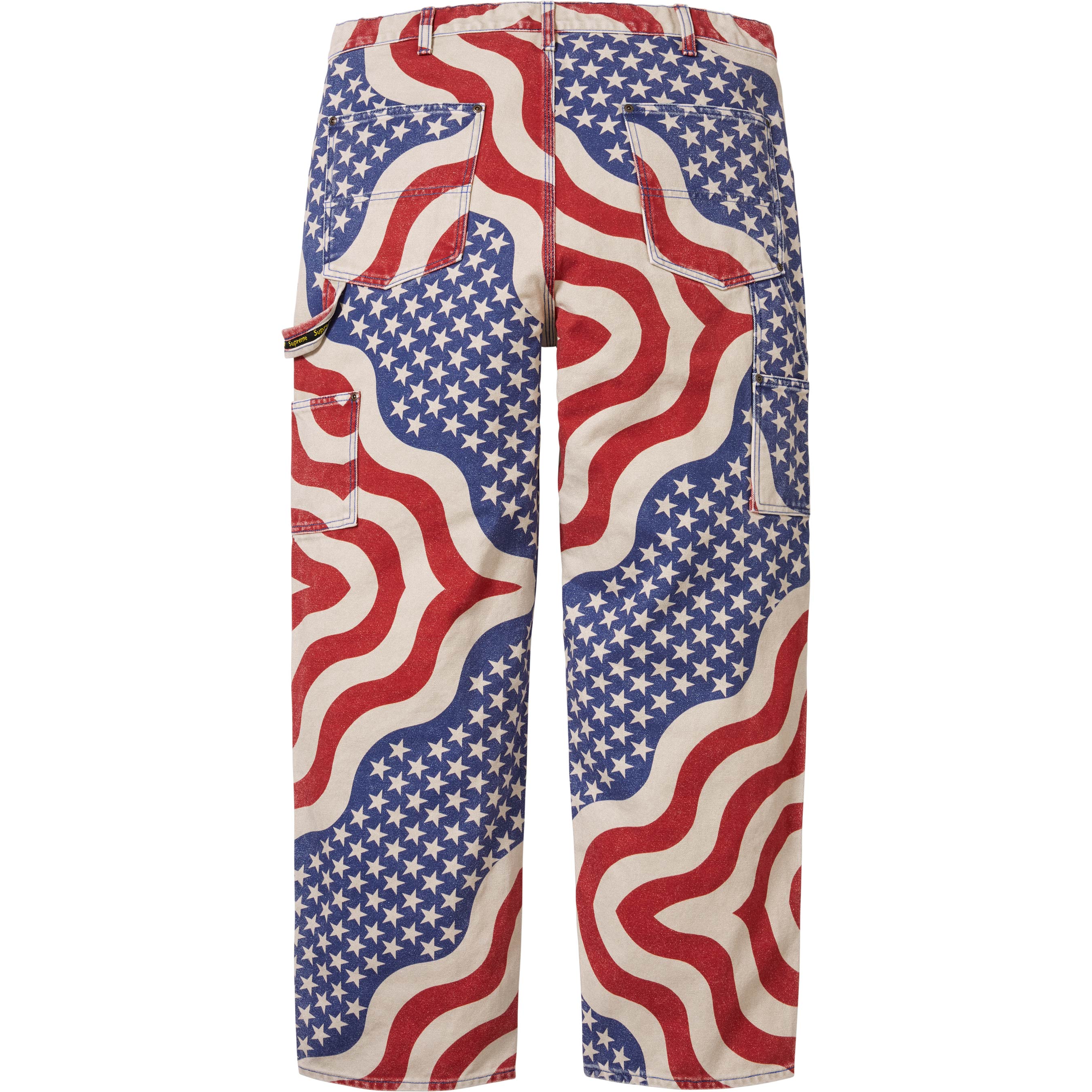 Flag Double Knee Painter Pant view 3